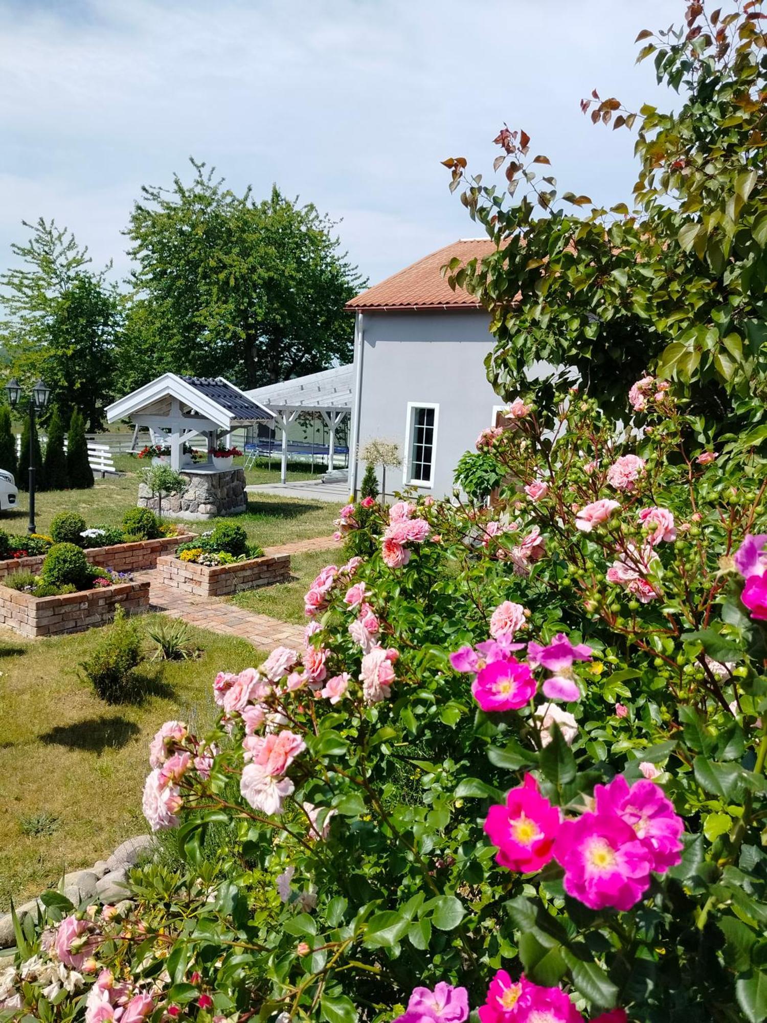 Agroturystyka Rybno Apartamento Rybno  Exterior foto